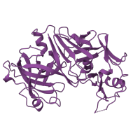 The deposited structure of PDB entry 1am5 contains 1 copy of SCOP domain 50646 (Pepsin-like) in Pepsin-2B. Showing 1 copy in chain A.