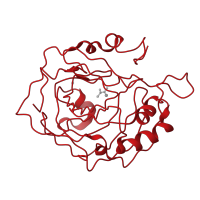 The deposited structure of PDB entry 1am6 contains 1 copy of CATH domain 3.10.200.10 (Carbonic Anhydrase II) in Carbonic anhydrase 2. Showing 1 copy in chain A.