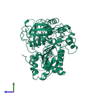 NADPH--cytochrome P450 reductase in PDB entry 1amo, assembly 1, side view.