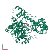 PDB entry 1ams coloured by chain, front view.