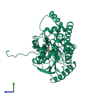 PDB entry 1ams coloured by chain, side view.