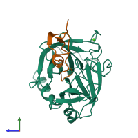 PDB entry 1an1 coloured by chain, side view.
