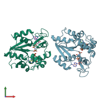 PDB entry 1ank coloured by chain, front view.