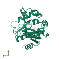 Adenylate kinase in PDB entry 1ank, assembly 1, side view.