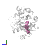 PHOSPHOAMINOPHOSPHONIC ACID-ADENYLATE ESTER in PDB entry 1ank, assembly 1, side view.