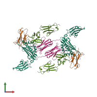 Hetero decameric assembly 2 of PDB entry 1ao7 coloured by chemically distinct molecules, front view.