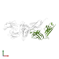 T cell receptor beta constant 2 in PDB entry 1ao7, assembly 1, front view.