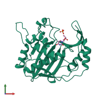 PDB entry 1aob coloured by chain, front view.