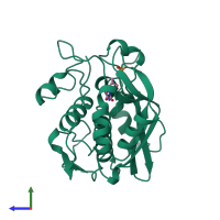 PDB entry 1aob coloured by chain, side view.