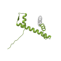 The deposited structure of PDB entry 1aoi contains 2 copies of Pfam domain PF00125 (Core histone H2A/H2B/H3/H4) in Histone H2B 1.1. Showing 1 copy in chain F [auth D].