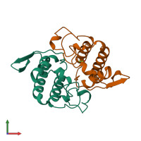 PDB entry 1aok coloured by chain, front view.