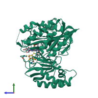 PDB entry 1aop coloured by chain, side view.