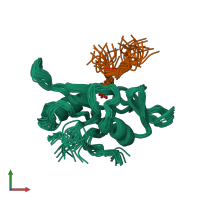 PDB entry 1aou coloured by chain, ensemble of 22 models, front view.