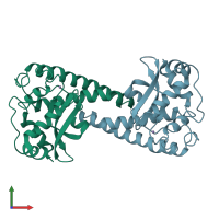 PDB entry 1ap6 coloured by chain, front view.
