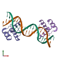 PDB entry 1apl coloured by chain, front view.