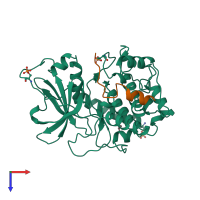 PDB 1apm coloured by chain and viewed from the top.