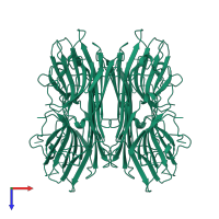 Concanavalin-A, 2nd part in PDB entry 1apn, assembly 1, top view.