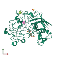 PDB entry 1apw coloured by chain, front view.