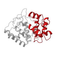 The deposited structure of PDB entry 1apx contains 4 copies of CATH domain 1.10.420.10 (Peroxidase; domain 2) in L-ascorbate peroxidase, cytosolic. Showing 1 copy in chain A.