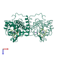 Homo dimeric assembly 1 of PDB entry 1apx coloured by chemically distinct molecules, top view.