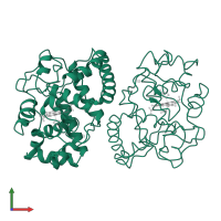 L-ascorbate peroxidase, cytosolic in PDB entry 1apx, assembly 1, front view.