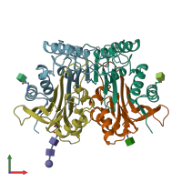 PDB entry 1apy coloured by chain, front view.