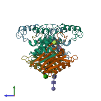 PDB entry 1apz coloured by chain, side view.