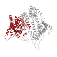 The deposited structure of PDB entry 1aro contains 1 copy of CATH domain 1.10.1320.10 (T7 RNA polymerase; domain 1) in T7 RNA polymerase. Showing 1 copy in chain A [auth P].