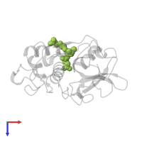 N-[N-[1-HYDROXYCARBOXYETHYL-CARBONYL]LEUCYLAMINO-BUTYL]-GUANIDINE in PDB entry 1atk, assembly 1, top view.