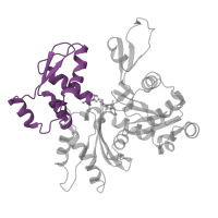 The deposited structure of PDB entry 1atn contains 1 copy of CATH domain 3.90.640.10 (Actin; Chain A, domain 4) in Actin, alpha skeletal muscle. Showing 1 copy in chain A.