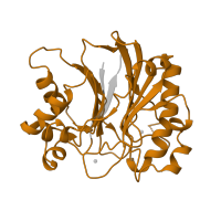 The deposited structure of PDB entry 1atn contains 1 copy of Pfam domain PF03372 (Endonuclease/Exonuclease/phosphatase family) in Deoxyribonuclease-1. Showing 1 copy in chain B [auth D].
