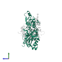 Actin, alpha skeletal muscle in PDB entry 1atn, assembly 1, side view.