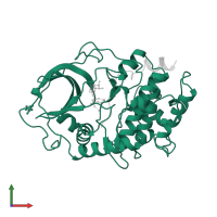 cAMP-dependent protein kinase catalytic subunit alpha in PDB entry 1atp, assembly 1, front view.