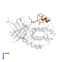 cAMP-dependent protein kinase inhibitor alpha in PDB entry 1atp, assembly 1, top view.