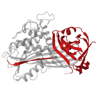 The deposited structure of PDB entry 1att contains 2 copies of CATH domain 2.30.39.10 (Alpha-1-antitrypsin; domain 1) in Antithrombin-III. Showing 1 copy in chain A.