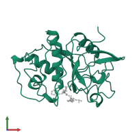 Cathepsin K in PDB entry 1au3, assembly 1, front view.