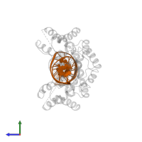 DNA (5'-D(*CP*TP*TP*CP*CP*TP*CP*AP*TP*GP*TP*AP*TP*AP*TP*AP*C P*AP*TP*GP*AP*GP* GP*A)-3') in PDB entry 1au7, assembly 1, side view.