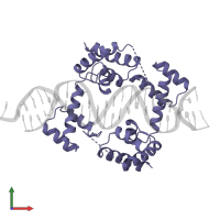 Pituitary-specific positive transcription factor 1 in PDB entry 1au7, assembly 1, front view.