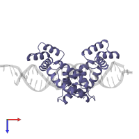 Pituitary-specific positive transcription factor 1 in PDB entry 1au7, assembly 1, top view.
