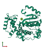 PDB entry 1aua coloured by chain, front view.