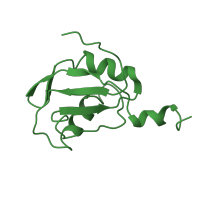 The deposited structure of PDB entry 1aud contains 1 copy of SCOP domain 54929 (Canonical RBD) in U1 small nuclear ribonucleoprotein A. Showing 1 copy in chain B [auth A].