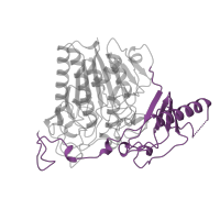 The deposited structure of PDB entry 1auk contains 1 copy of Pfam domain PF14707 (C-terminal region of aryl-sulfatase) in Arylsulfatase A. Showing 1 copy in chain A.