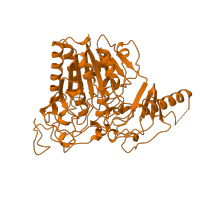 The deposited structure of PDB entry 1auk contains 1 copy of SCOP domain 53653 (Arylsulfatase) in Arylsulfatase A. Showing 1 copy in chain A.