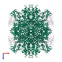 Ribulose bisphosphate carboxylase large chain in PDB entry 1aus, assembly 1, top view.