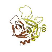 The deposited structure of PDB entry 1aut contains 2 copies of CATH domain 2.40.10.10 (Thrombin, subunit H) in Vitamin K-dependent protein C heavy chain. Showing 2 copies in chain A [auth C].