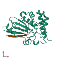 PDB entry 1avp coloured by chain, front view.
