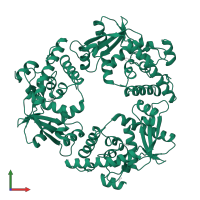 Exonuclease in PDB entry 1avq, assembly 1, front view.
