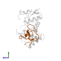 Tyrosine-protein kinase Fyn in PDB entry 1avz, assembly 1, side view.