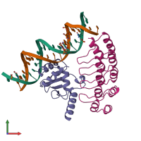 Hetero tetrameric assembly 1 of PDB entry 1awc coloured by chemically distinct molecules, front view.