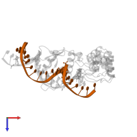 DNA (5'-D(*TP*TP*CP*CP*GP*GP*(BRU)P*GP*(BRU)P*AP*CP*TP*TP*CP*CP*GP*GP*TP*CP*AP*T)-3') in PDB entry 1awc, assembly 1, top view.